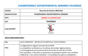 CHAMPIONNAT DEPARTEMENTAL MINIMES