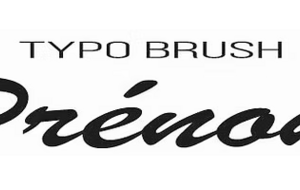 CEINTURE RIGIDE MARRON